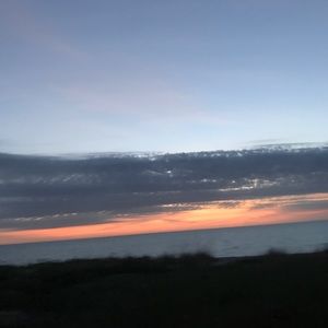 Meet your Posher, Ella